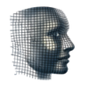 Wire Mesh Portraits